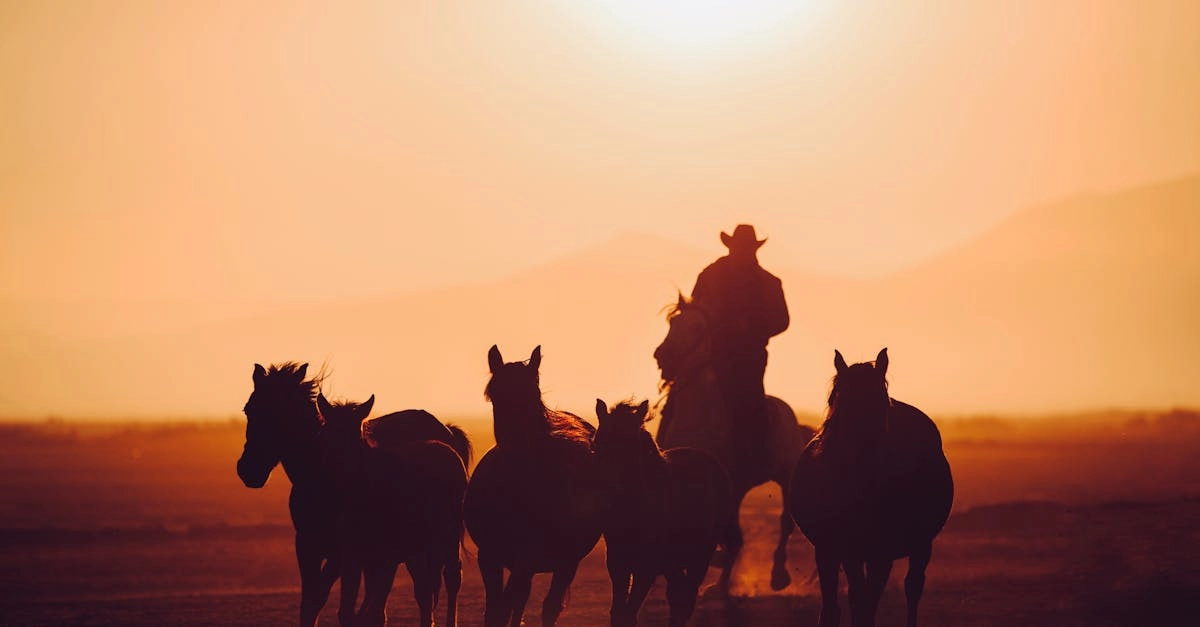 Символы Дикого Запада и авиации объединены общим духом приключений